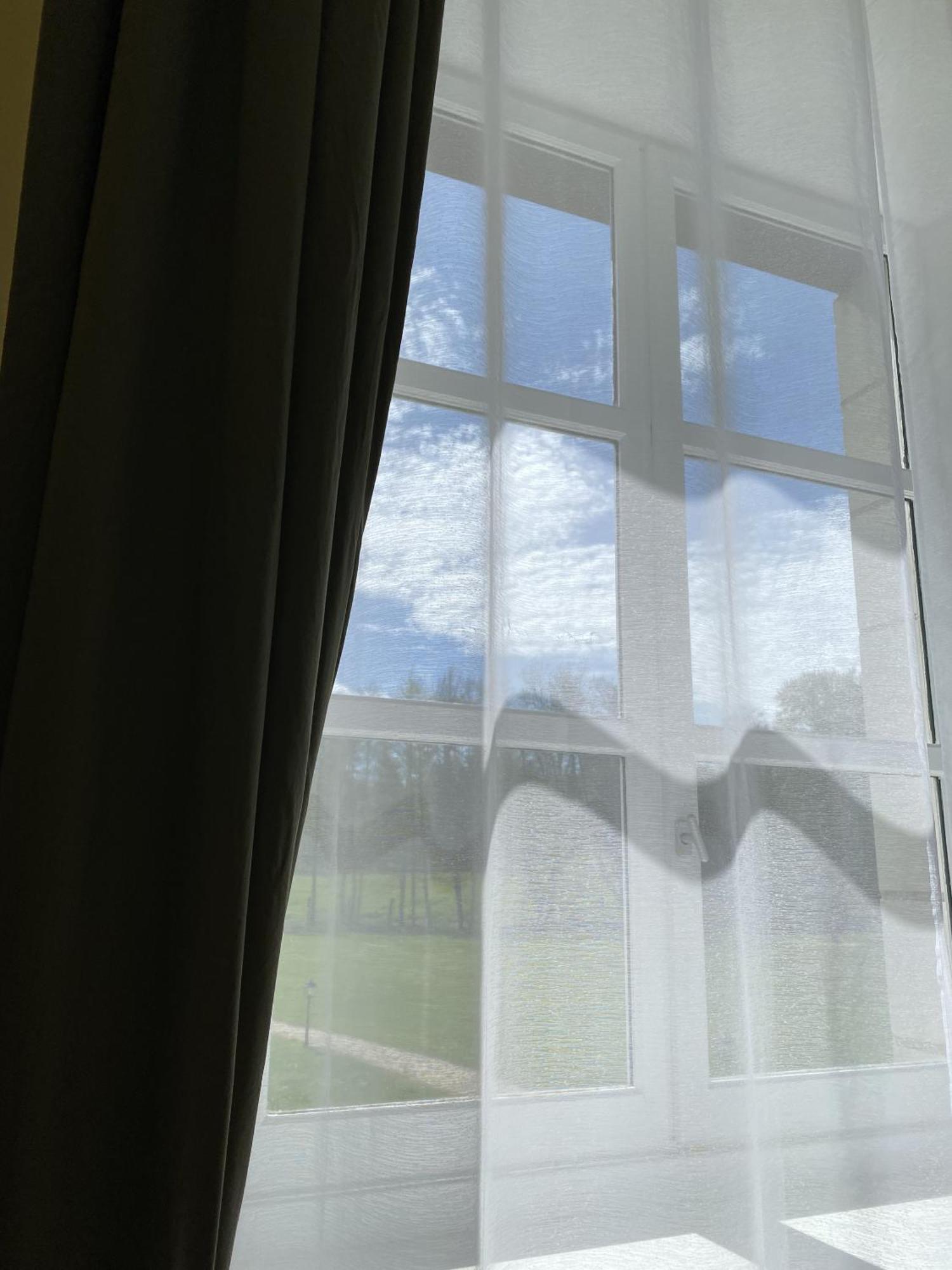 Chateau Laroche-Ploquin Sepmes Bilik gambar